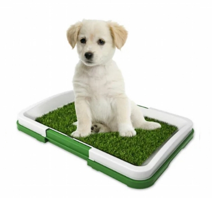 Picture of Artificial Grass Bathroom Mat for Puppies and Small Pets- Portable Potty Trainer for Indoor and Outdoor, 18.5” x 13”