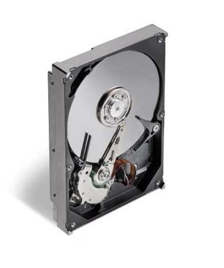 Picture of Seagate 500 GB Internal Hard Drive 8 MB Cache ST3500841A-RK